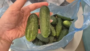 Картофель Пикассо