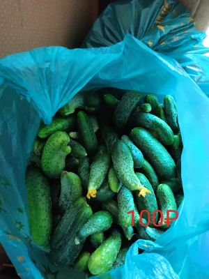 Огурчики