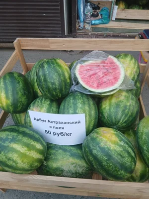 Арбуз Астраханский