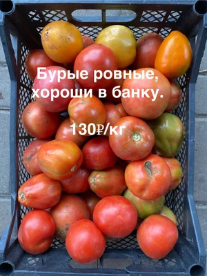 Огурцы корнишоны