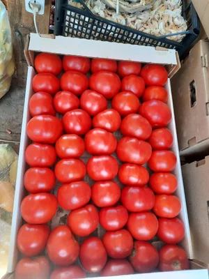 Помидоры красные