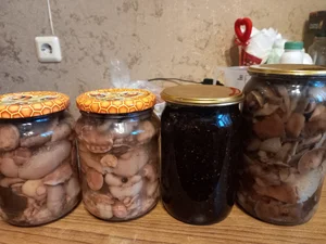 Рыжики маринованные