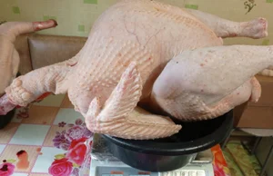 Мясо индюшки