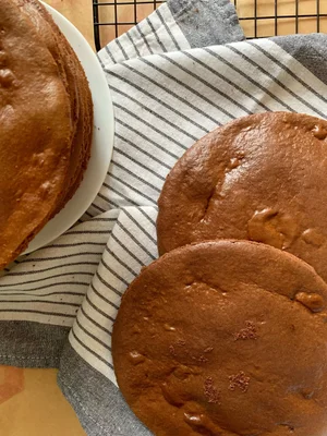 Коржи молочной девочки и шоколадной молочной девочки