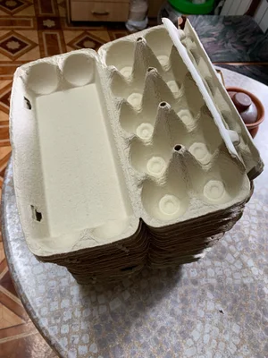 Огурцы