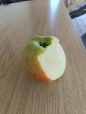 Ежевика