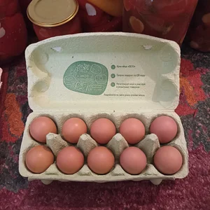 Огурцы