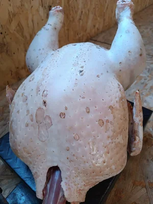 Домашний картофель
