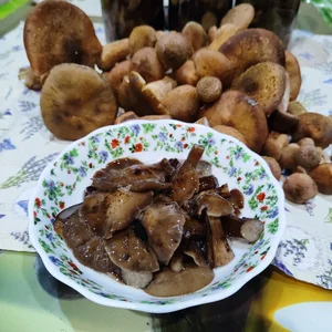 Маринованные опята