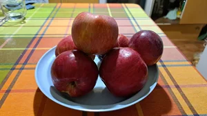 Яблоки сладкие, разных сортов