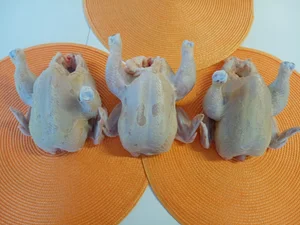 Домашний бройлер (корнишон)