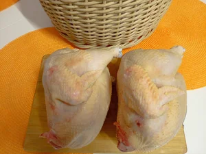 Домашний бройлер