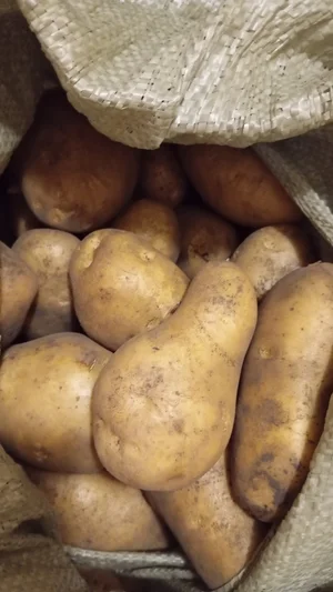 Домашняя картошка