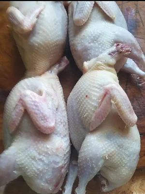 Тушки индейки