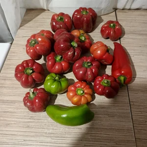 Перец гогошары