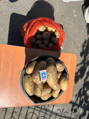 Домашний картофель