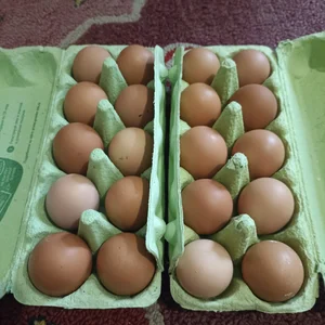 Куриные яйца средние и крупные