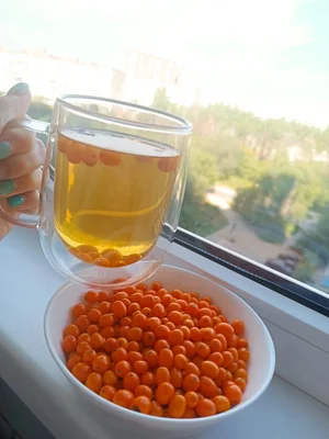Облепиха