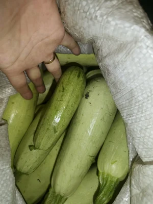 Кабачки