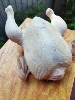 Мясо домашних бройлеров