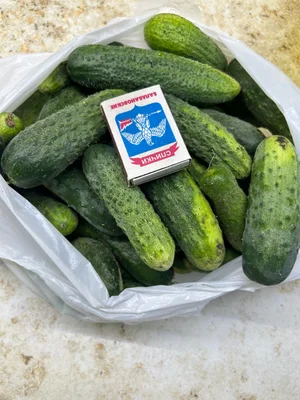 Огурцы