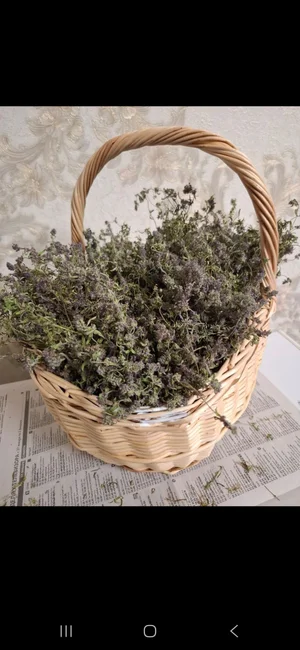 Огурчики маринованные