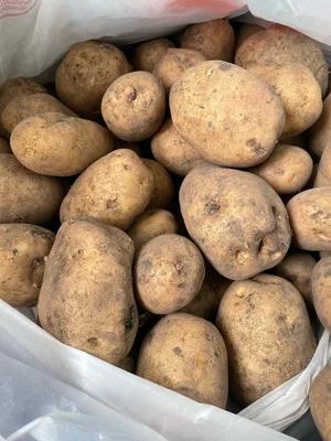 Картофель белый рассыпчатый