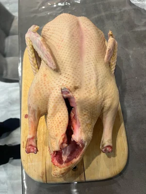 Мясо домашней индоутки