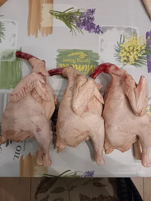 Молодые петушки бульонные