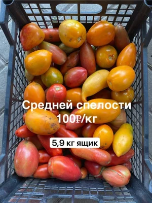 Яблоки
