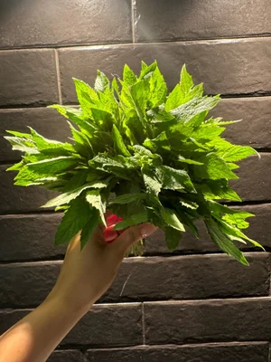 Кабачки