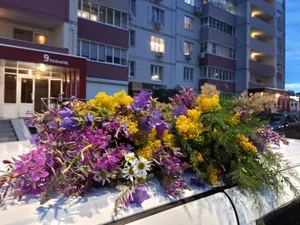 Букеты из полевых цветов