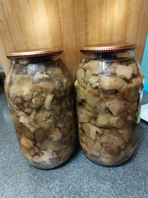 Грибы маринованные маслята