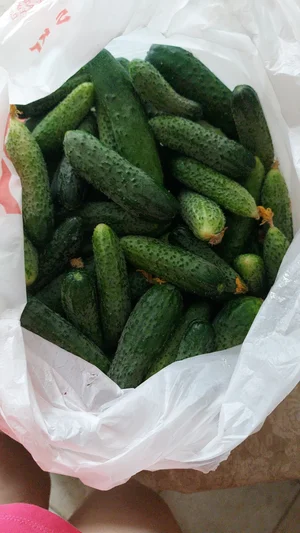 Яблоки