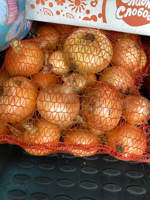 Сыр козий