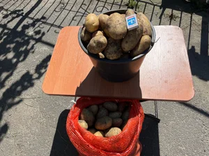 Домашний картофель
