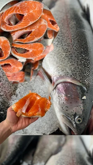 Форель охлажденная непотрашеная