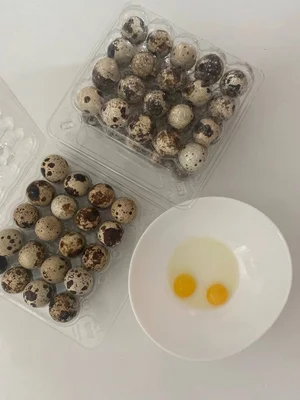 Курица (бройлер)