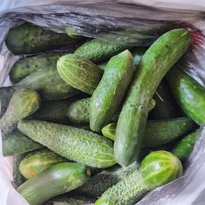 Сливы