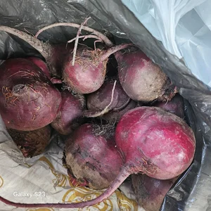 Картофель