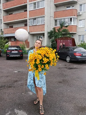 Цветы (букеты)