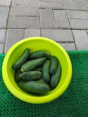Лук