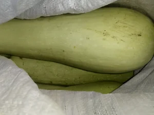 Огурцы