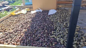 Картофель