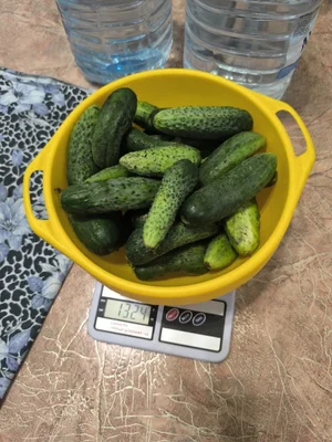 Огурчики