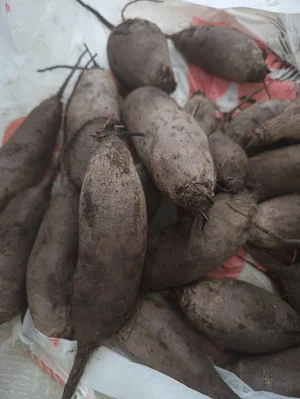 Яблоки домашние