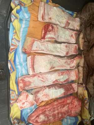 Печень свиная приморожена