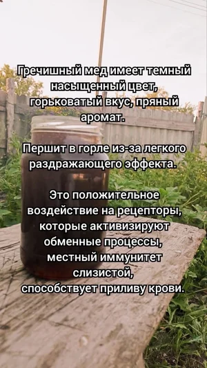 Гречишный мёд