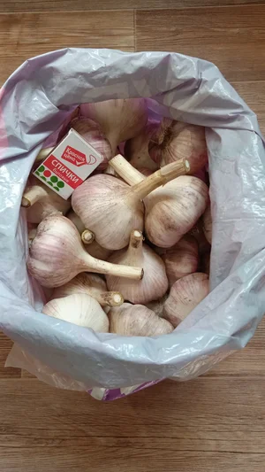 Картофель крупный