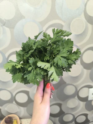 Яйцо куриное